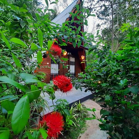 The Otunna Guest House Sigiriya Bagian luar foto