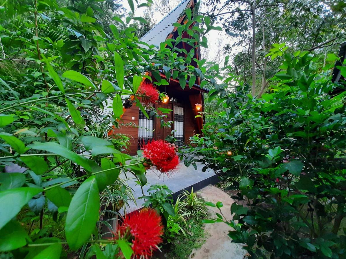 The Otunna Guest House Sigiriya Bagian luar foto