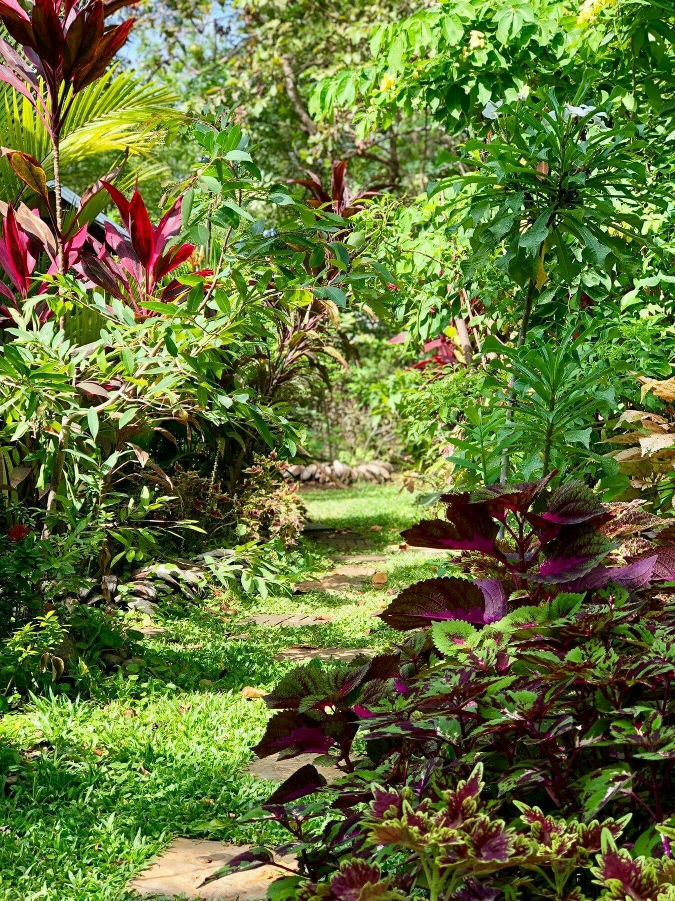 The Otunna Guest House Sigiriya Bagian luar foto